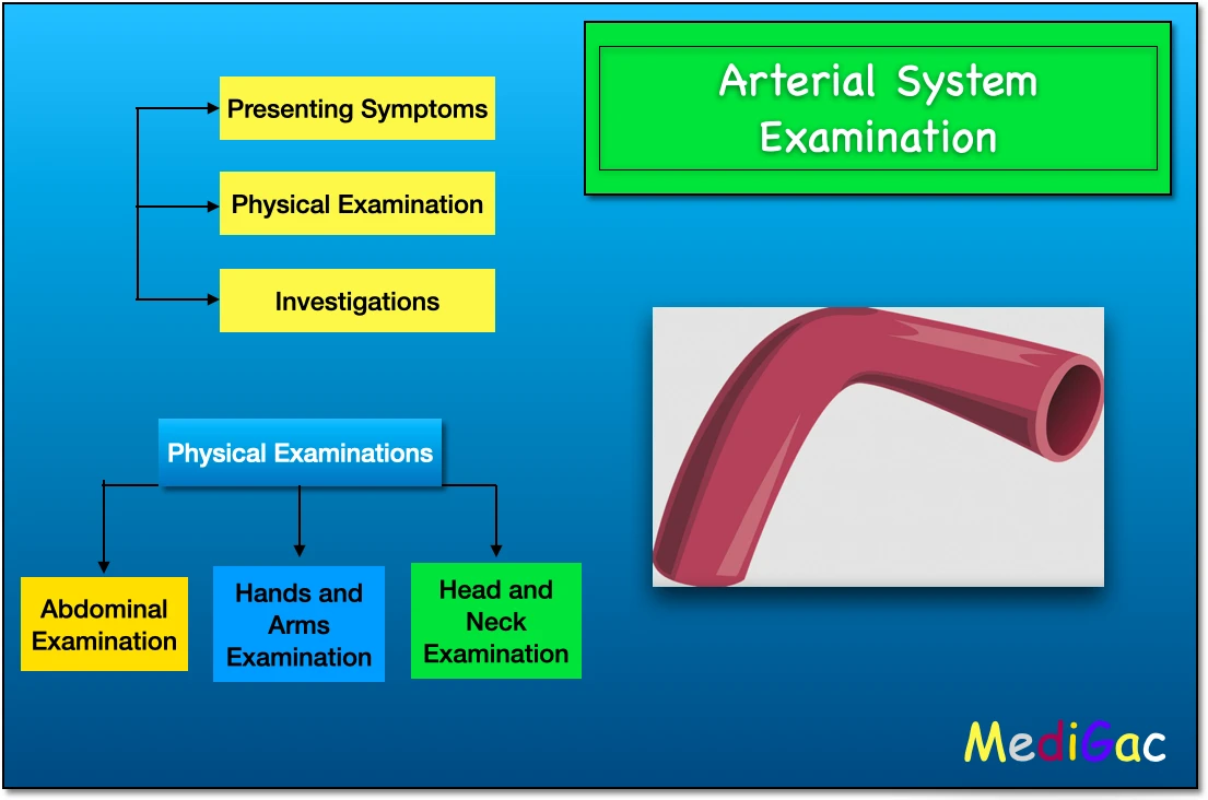 Arterial System Examination